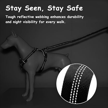 Bungee Dog Leash with Shock Absorption, Dual Handles for Pull Control, Reflective Nylon, Zinc Alloy Hook, D-Ring for Poop Bags, Black, M