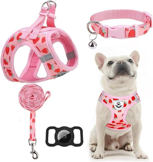EXPAWLORER Small Dog Harness and Leash Set - Cute Puppy Harness Leash Dog Collar with AirTag Holder Silicone Case, Soft Padded Step in Pet Vest Reflective for Outdoor Walking, Strawberry XXS
