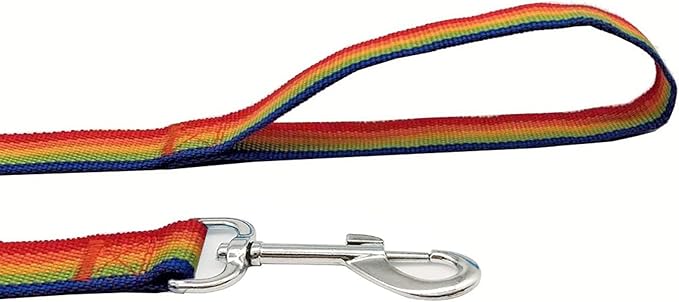 TAIAN 4FT/5FT/6FT Strong Dog Leash, Nylon Dog Leashes for Small Medium Large Dogs (5/8 in x 5 ft, Rainbow)