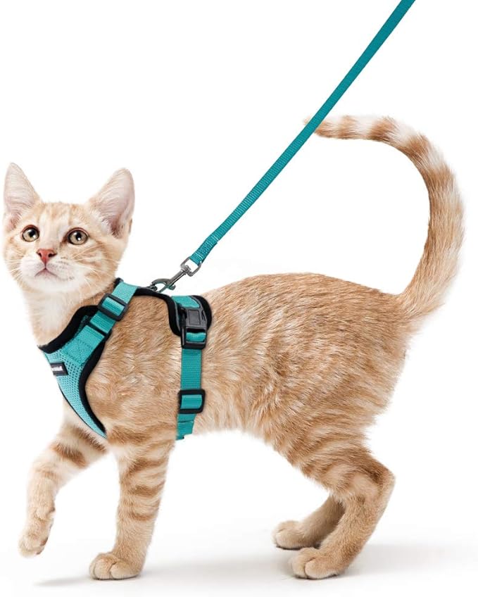 rabbitgoo Cat Harness and Leash for Walking, Escape Proof Soft Adjustable Vest Harnesses for Cats, Easy Control Breathable Reflective Strips Jacket, Emerald, S