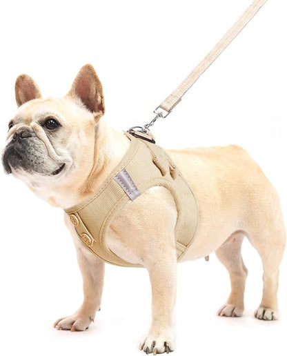 PUPTECK Dog Harness and Leash Set for Small Medium Dogs No Pull Step-in Soft Mesh Puppy Cat Vest Harnesses Reflective at Night, Denim Burlywood M