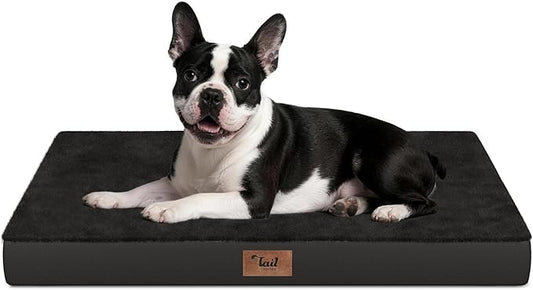 Tail Stories Plush Orthopedic Dog Bed for Medium Dogs & Puppies, Waterproof Dog Beds 29x18 Inch with Removable Washable Cover, Egg Crate Foam Flat Pet Mat, Black