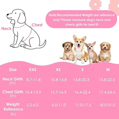 SlowTon Small Dog Harness - No Pull Dog Harness and Leash Set, Soft Mesh Lightweight Puppy Vest Harnesses, Adjustable Pet Harnesses for XXS XS Small Medium Easy Walk Hiking (Pink, S)