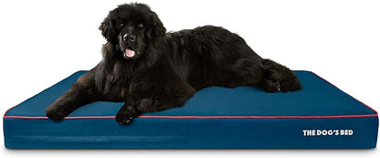 The Dog’s Bed Orthopedic Memory Foam Dog Bed, XXXL Blue/Red, Pain Relief for Arthritis, Hip & Elbow Dysplasia Post Surgery, Lameness, Supportive Calming, Waterproof Washable Cover, Veterinary Approved