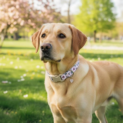 Pink Dog Collar, Cute Dog Collar with Diamond Pattern, Adjustable Soft Cute Collar for Small Dogs, S