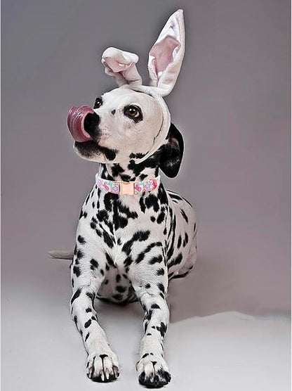 Lionheart glory Easter Dog Collar Colorful Collar for Large Dog Collars Rabbits Print Dog Collars Spring Female or Male Pet Gift Adjustable Heavy-Duty Pet Collar Holiday