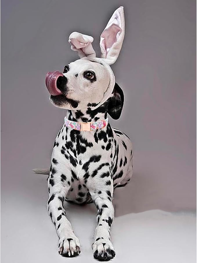 Lionheart glory Easter Dog Collar Colorful Collar for X-Small Dog Collars Rabbits Print Dog Collars Spring Female or Male Pet Gift Adjustable Heavy-Duty Puppy Collar Holiday