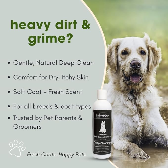 Shiny Paw Natural Deep Cleaning Organic Dog Shampoo 16 oz | Dog Itching Skin Relief with Evergreen, Aloe & Rosemary | Natural Dog Shampoo for Smelly Dogs