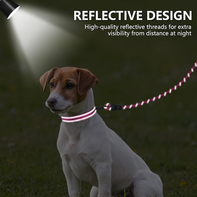 Dynmeow Reflective Dog Collar and Leash Set, 6FT Strong Climbing Rope Leash with Padded Handle, Adjustable Pet Collar with Soft Neoprene Padding for Small Medium Dogs, Hot-Pink, S