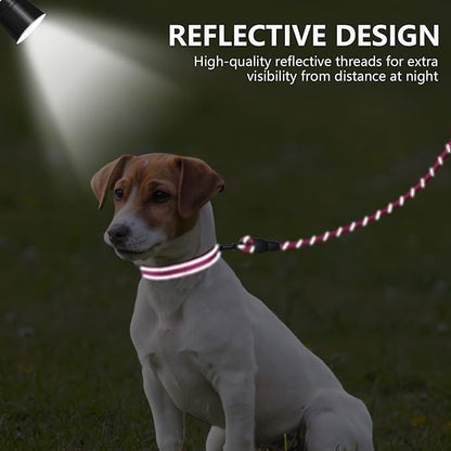 Dynmeow Reflective Dog Collar and Leash Set, 6FT Strong Climbing Rope Leash with Padded Handle, Adjustable Pet Collar with Soft Neoprene Padding for Small Medium Dogs, Hot-Pink, S