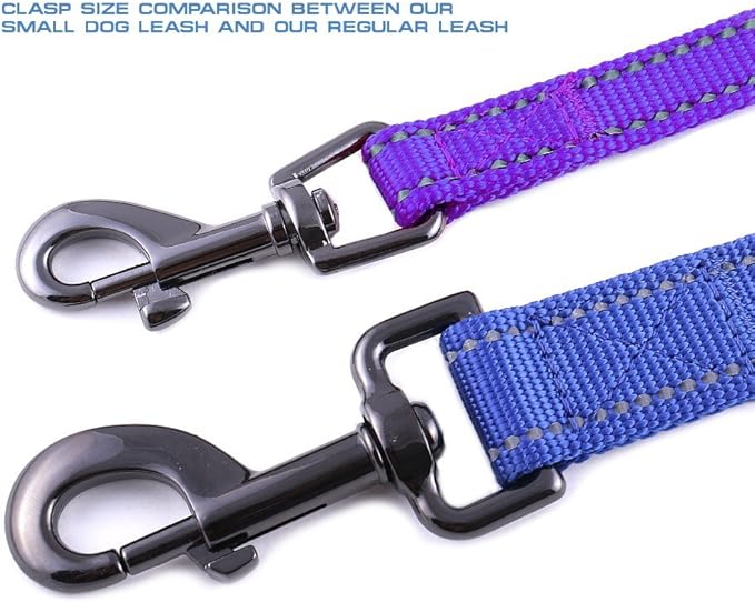 Max and Neo Small Dog Leash - Reflective Nylon, Donates to Dog Rescue (Purple, 6x5/8)