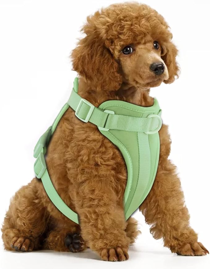 Wisedog No Pull Lightweight Dog Vest Harness with Soft and Comfortable Cushion, Breathable Mesh, for Small Medium Large Dogs Walking (XS(Neck: 7.48"-10.63";Chest: 10.63"-15.35"), Sage Green)