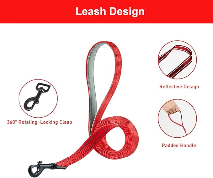 Hipubby Dog Harness and Leash Set, No Pull Soft Mesh Puppy Harness for Small Medium Dogs, Cats - Step in Reflective Breathable Lightweight Vest Harness for Walking, Training - Red, XXS