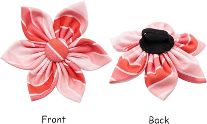 Lionet Paws Dog Collar with Flower, Soft and Comfortable, Adjustable Collar for X-Large Dogs Girl, Neck 16-26 inches