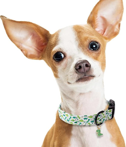 Faygarsle Dog Collar for Small Medium Large Dogs Cute Green Puppy Collars for Male Dogs Dinosaur Patterned Pet Collars for Summer Spring Wedding Puppy Boy Dog Collar XS