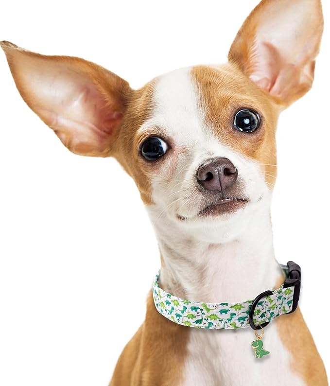 Faygarsle Dog Collar for Small Medium Large Dogs Cute Green Puppy Collars for Male Dogs Dinosaur Patterned Pet Collars for Summer Spring Wedding Puppy Boy Dog Collar S