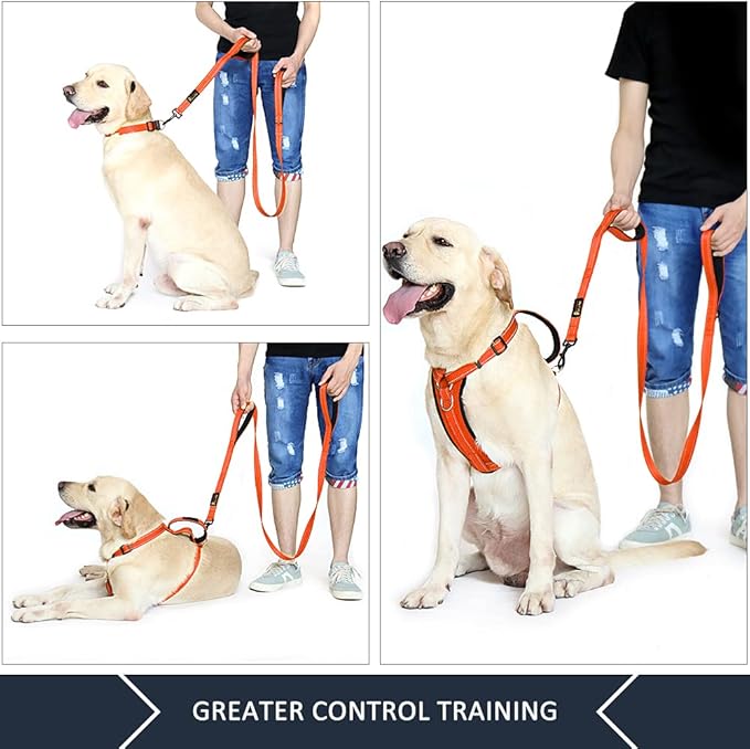 Plutus Pet Double Handle Dog Leash 5ft, Heavy Duty, Reflective Dual Handle Dog Leash for Safety Training, for Medium Large Dogs,2 Handle Leads(Orange)