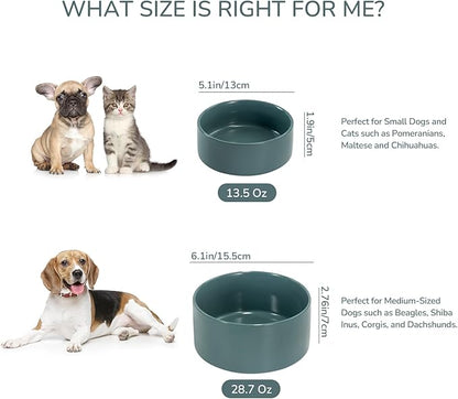 SPUNKYJUNKY 28.7OZ Ceramic Dog and Cat Bowl, Modern Cute Weighted Food Water Bowl for Replacement Light Green (1 Pack)