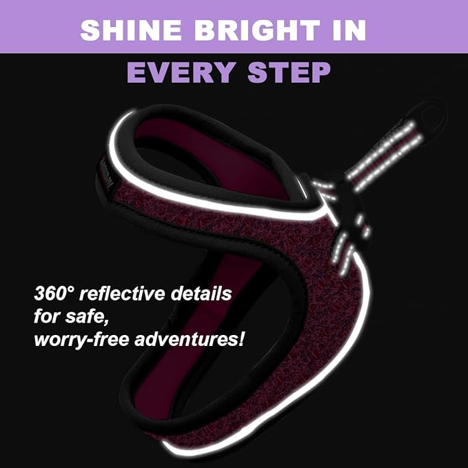 Cat Harness and Leash Set,Escape Proof Kitten Harness,Step in Adjustable Soft Lightweight,Easy Control,Reflective Strips Comfortable for Walking Travel(Pink/Black,XS)