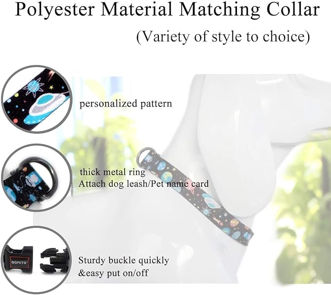 Roses&Poetry Dog Collar and Leash for Medium Large,Adjustable Durable Blue 5ft Puppy Leash Collar for Dog Training Lead（Star-L）