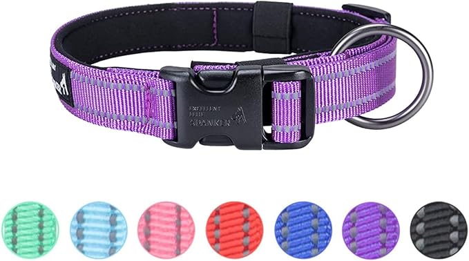 EXCELLENT ELITE SPANKER Reflective Dog Collar Classic Soft Padded Breathable Nylon Adjustable Pet Collar with Quick Release Buckle for Boy Girl Male Female Puppies Small Medium Large Dogs(Purple-L)