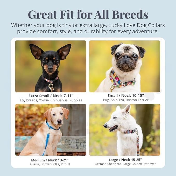 Lucky Love Dog - Adjustable Dog Collar with Easy Click Buckle for Medium, Durable, & Comfortable for Male & Female Dogs, Pet Collar for Puppies & Adult Dogs - Ladybird, Medium