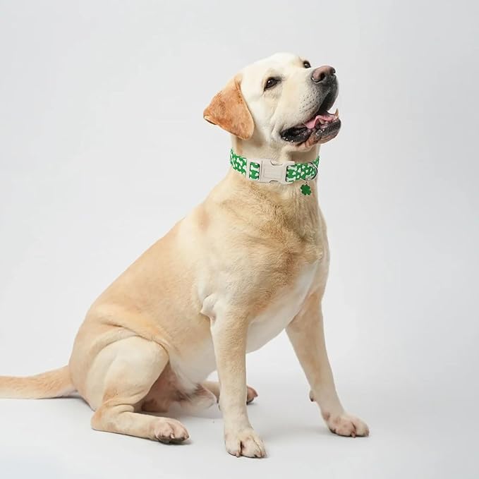 Lionet Paws St. Patrick Dog Collar- Cute Clover Bone Green Dog Collars with Plastic Buckle, Light Adjustable Dog Collars with Clover Pendant for Small Medium Dogs
