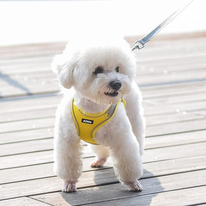 AIITLE Escape Proof Dog Harness - Step in Adjustable Dog Harness No Choke Over with Breathable Mesh and Quick-Release Buckle for All Weather- Outdoor Walking, Training for Medium Dogs Yellow XL