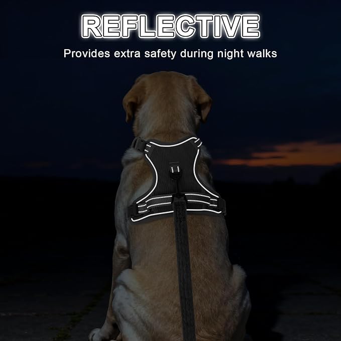 BEAUTYZOO No Pull Dog Harness Large, Adjustable Dog Harness and Leash Set -Easy Wearing with 3 Buckles/Control Handle,No Choke Soft Padded Reflective Pet Vest for Training Walking Hiking,Grey S