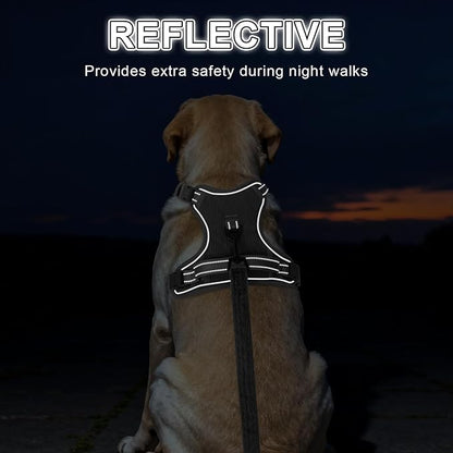 BEAUTYZOO No Pull Dog Harness Large, Adjustable Dog Harness and Leash Set -Easy Wearing with 3 Buckles/Control Handle,No Choke Soft Padded Reflective Pet Vest for Training Walking Hiking,Grey S