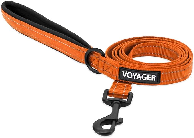Best Pet Supplies Voyager Reflective Dog Leash or Collar with Neoprene Handle, for Small, Medium, and Large Breed Puppies, Cute and Heavy Duty for Walking, Running and Training - Orange Leash, L