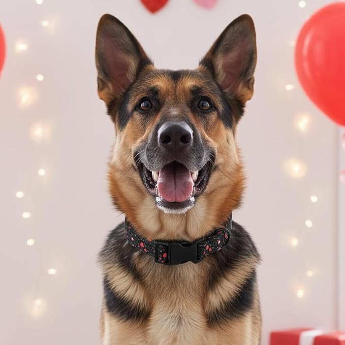 Valentin Dog Collar, Medium Dog Collar with Red Hearts, Pet Collar Boy with Charm and Buckle, Adjustable for Medium Dogs