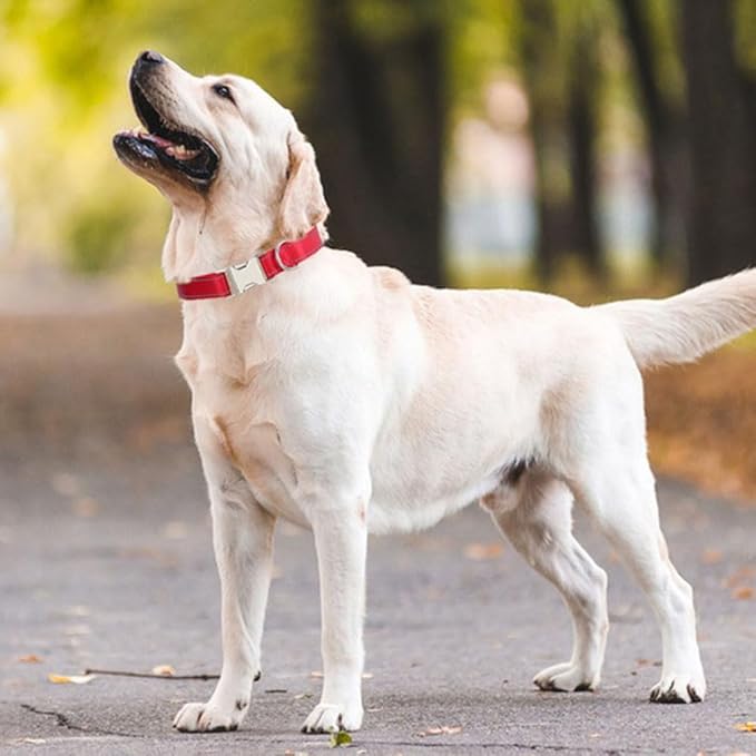 Reflective Dog Collar and Leash Set with Metal Buckle, Soft Sturdy Nylon Dog Collars with Quick Release Buckle, Adjustable Pet Collars with with ID Tag Ring for Small Medium Large Dogs