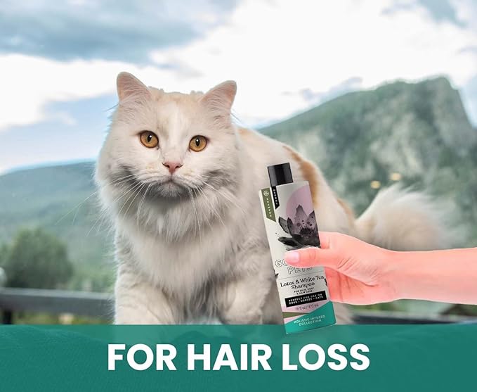 Gou Gou Pets Holistic Natural Derived Lotus and White Tea Pet Shampoo: Veterinarian Recommended - Remove Dirt, Cleanse and Restore Your Dog, Cat or Horse Coat - Made in USA - 16 oz