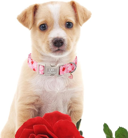 Valentine’s Dog Collar, Pink Heart Dog Collar with Quick Release, Valentine’s Gift Pet Girl Boy Dog Collar for Puppy Small Medium Dogs, Wedding Dog Collar
