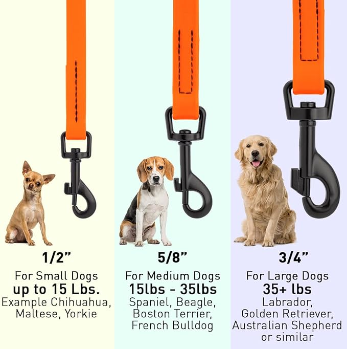 Dogline Biothane Waterproof Dog Leash Strong Coated Nylon Webbing with Black Hardware Odor-Proof Easy to Clean High Performance for Small or Large Dogs Made in USA 4 or 6 ft Lead, Hunter Orange