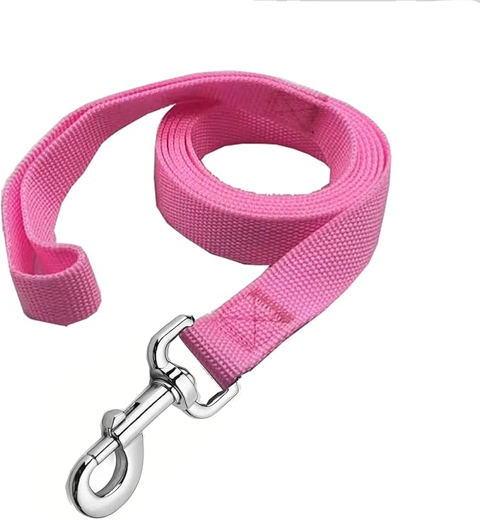 Strong Nylon Dog Leash, 4FT/ 5 FT/ 6FT Dog Leashes for Small Medium Dogs