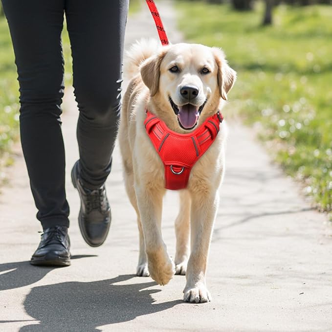 BARKBAY No Pull Dog Harness Large Reflective Dog Harness with Front Clip and Easy Control Handle for Walking Training Running with ID tag Pocket(Red,L)