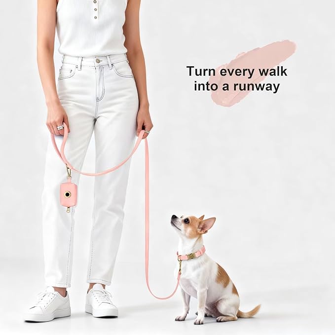 Didog Stylish PU Leather Dog Leash for Small Dogs, Easy to Clean 5ft Small Dog Leash with Metal Tangle-Free Clip, Cute and Fashionable for Walking, Running and Training,Pink, S