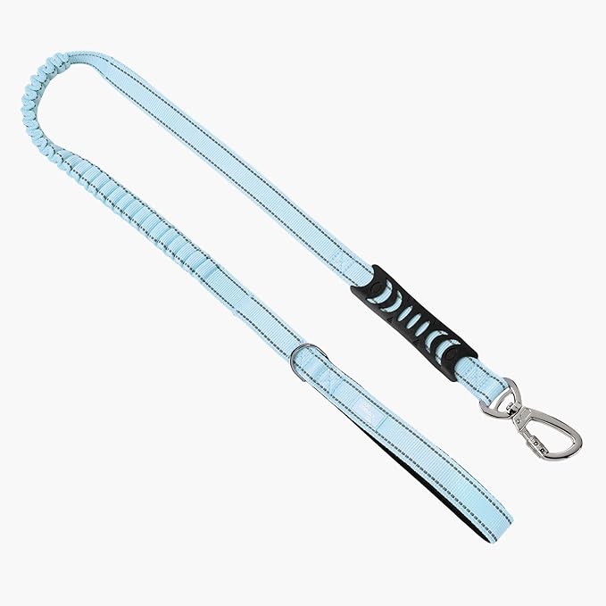 DF Co. Bungee Dog Leash | Strain Free & Shock Resistant for Control | Neoprene Padded Handle, Heavy-Duty Carabiner Clip, and D-Ring | Sky Blue, Size Regular