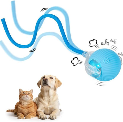 JINDILONG Cat Toy, Electric Interactive Toys for Indoor Cats, Blue