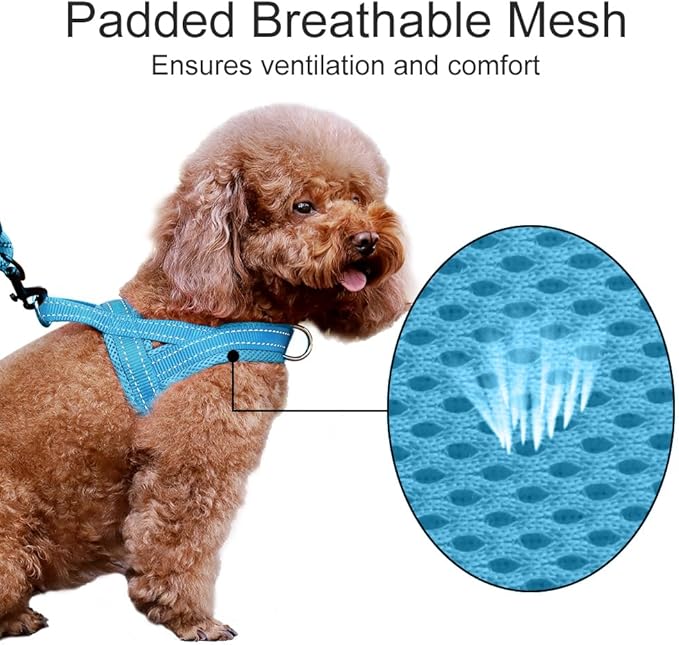 Plutus Pet No Pull Dog Harness with Breathable Mesh Padded, Adjustable Reflective Escape Proof Dog Harness, Quick Fit Dog Vest Harness for Small Medium Large Dogs(M, Cyan)