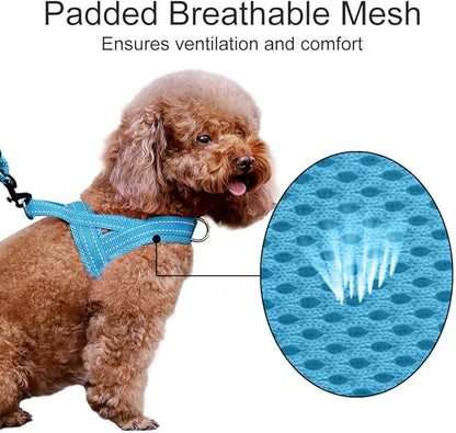 Plutus Pet No Pull Dog Harness with Breathable Mesh Padded, Adjustable Reflective Escape Proof Dog Harness, Quick Fit Dog Vest Harness for Small Medium Large Dogs(M, Cyan)