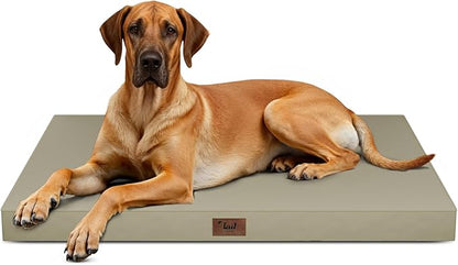 Tail Stories Outdoor Extra Large Dog Bed, Jumbo Waterproof Dog Bed for Large Dogs, Orthopedic Egg Crate Foam Pet Mat with Removable Oxford Cooling Cover, Khaki