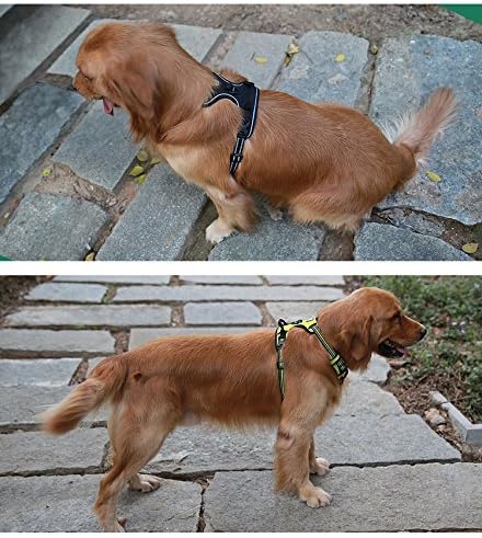 JUXZH Truelove No Pull Dog Harness with Easy Control Handle and 2 Leash Attachments,Reflective Adjustable Pet Vest