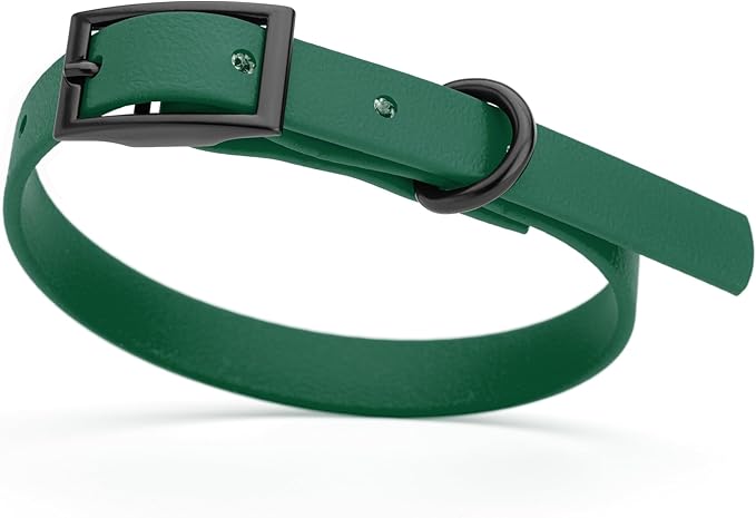 Dogline Biothane Waterproof Dog Collar Strong Coated Nylon Webbing with Black Hardware Odor- Proof for Easy Care Easy to Clean High Performance Fits Small Medium or Large Dogs, Hunter Green