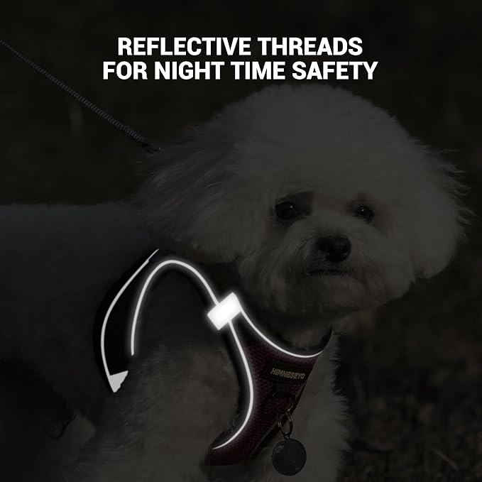 Dog Harness and Leash Set, Dog Harness for Dogs No Pull, No-Chock Step-in Reflective Breathable Lightweight Easy Walk Vest Harnesses with Safety Buckle for Small Medium Dogs, Cats (Purple, L)