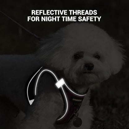 Dog Harness and Leash Set, Dog Harness for Dogs No Pull, No-Chock Step-in Reflective Breathable Lightweight Easy Walk Vest Harnesses with Safety Buckle for Small Medium Dogs, Cats (Purple, XXS)