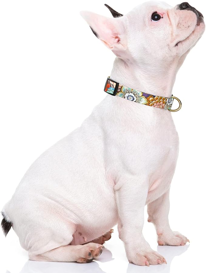 Rnivvi Dog Collar for Small Dogs, Cute Heavy Duty Adjustable Puppy Collar with Quick Release Buckle for Boy Girl & Female, Pet Accessories for Walking Running, S Length 3/4" Width, Colorful Mandala
