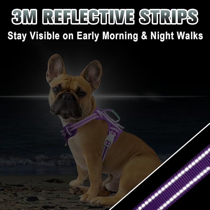 BARKBAY No Pull Dog Harness Large Reflective Dog Harness with Front Clip and Easy Control Handle for Walking Training Running with ID tag Pocket(Purple,S)